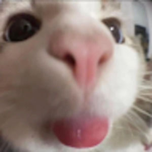 Meet your Posher, Quỳnh